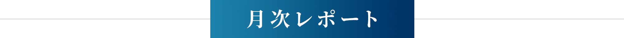 月次レポート